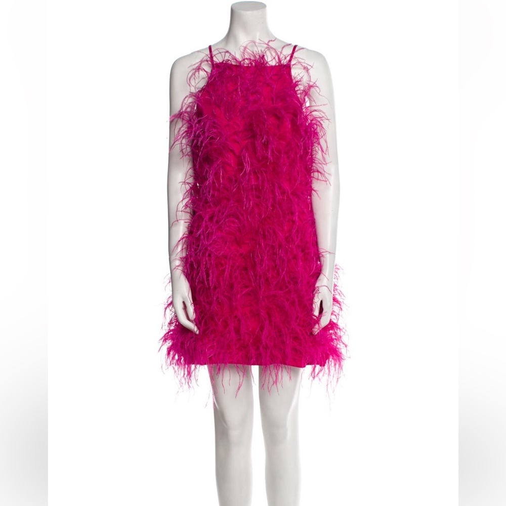 Cult Gaia Feather Mini Dress